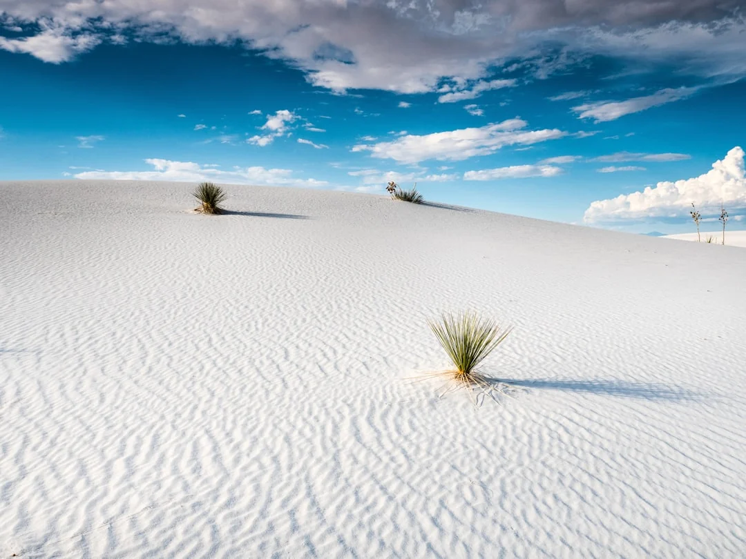 White Sands National Park in New Mexico White Sands National Park in New Mexico