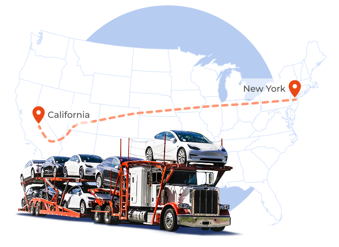 NIKI AUTO TRANSPORT CAR SHIPPING