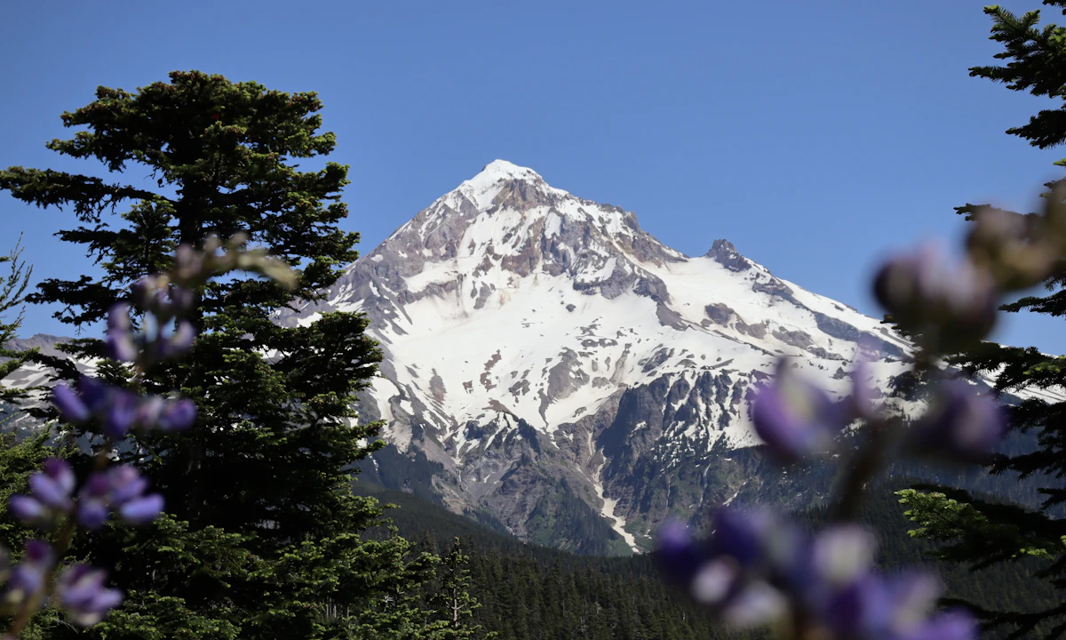Oregon car shipping location and route planning