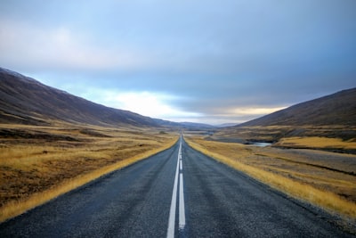 NIKI Hawaii to Texas: Open road in golden light Open road in golden light — NIKI Hawaii to Texas shipping guide