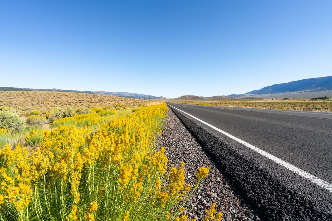 NIKI San Antonio: Open highway through the Texas countryside Open highway through the Texas countryside — NIKI San Antonio shipping guide