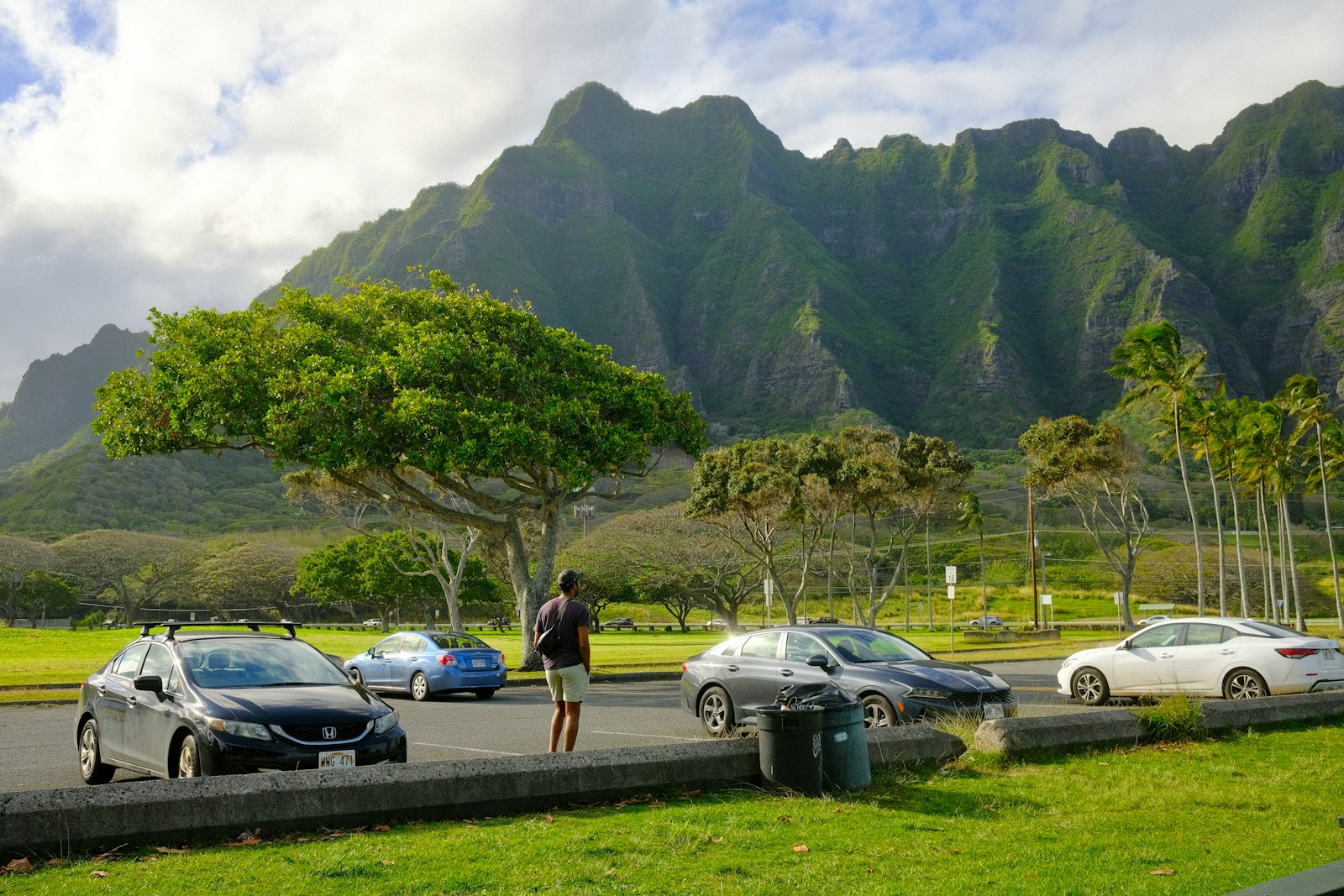 Cars parked along a roadside on a Hawaiian island
