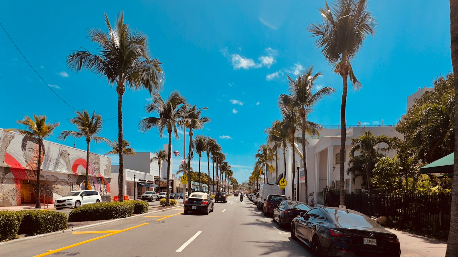 Palm-lined Florida street with parked cars when moving to Florida with a car