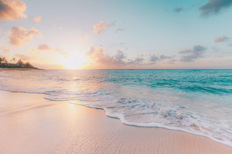 Florida car shipping destination