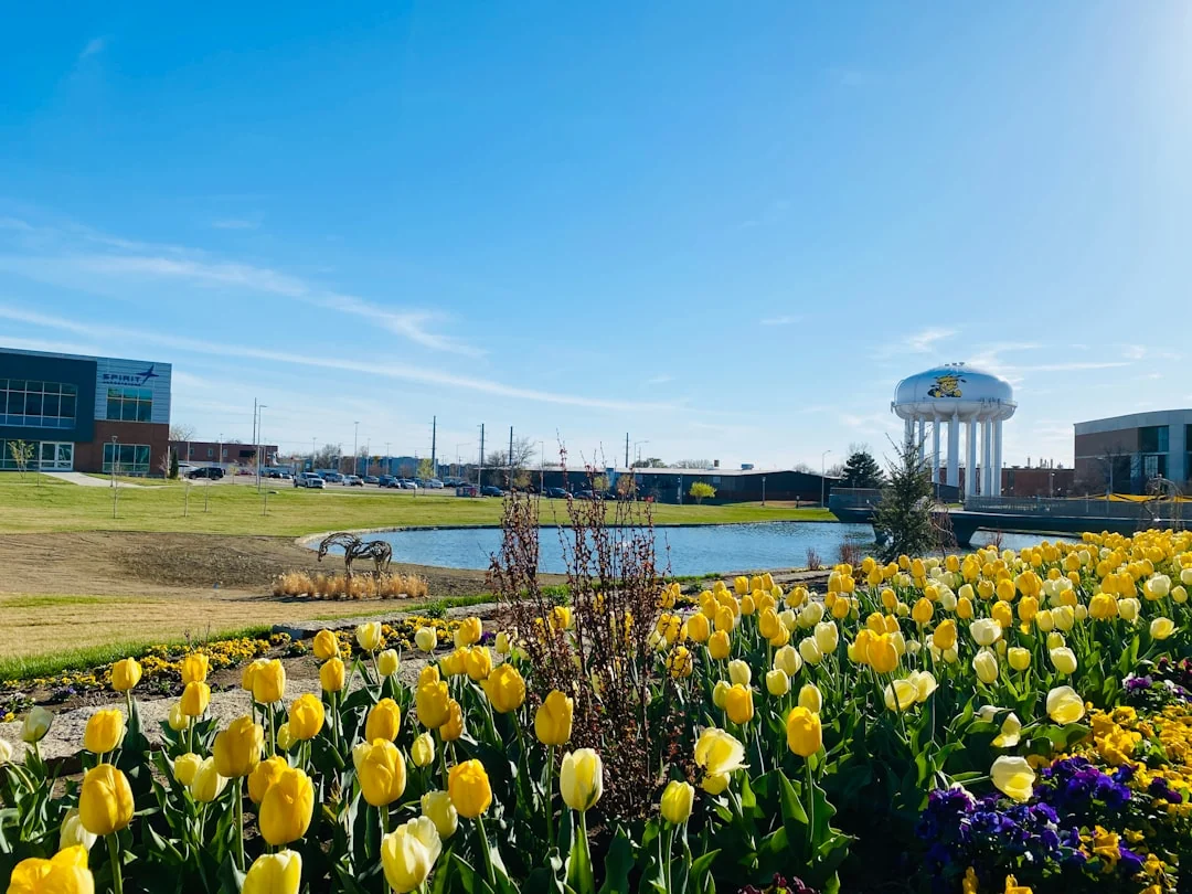 Wichita State University campus in Wichita, Kansas Wichita State University campus in Wichita, Kansas